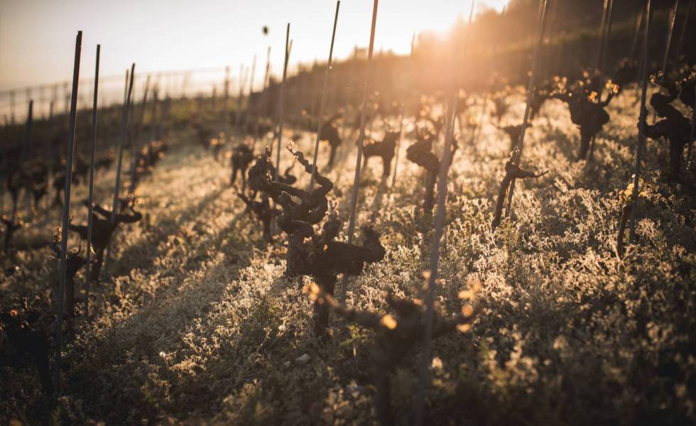 Le printemps dans le D&eacute;zaley