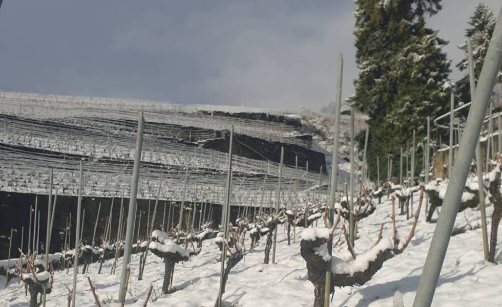 L'hiver dans Lavaux