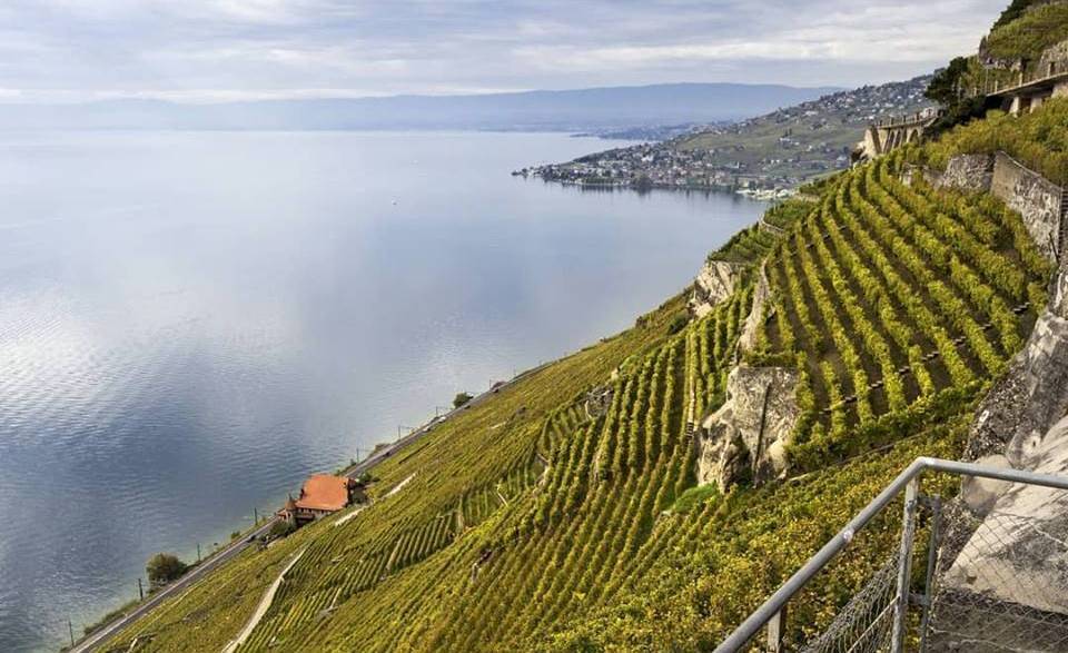 La Baronnie du Dézaley accueille la Ville de Lausanne