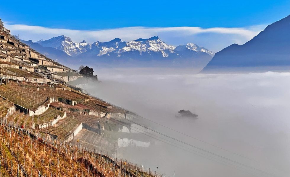 La beauté de l'hiver dans Lavaux